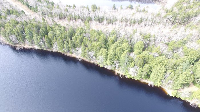 WentworthHalbinsel (49)